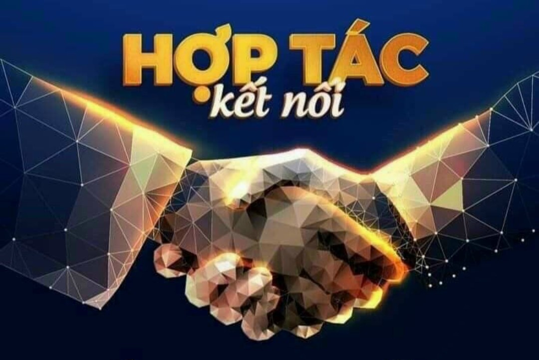 hợp tác kết nối